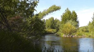 7  вещей, которые нельзя делать, если женщина нашла другого мужчину