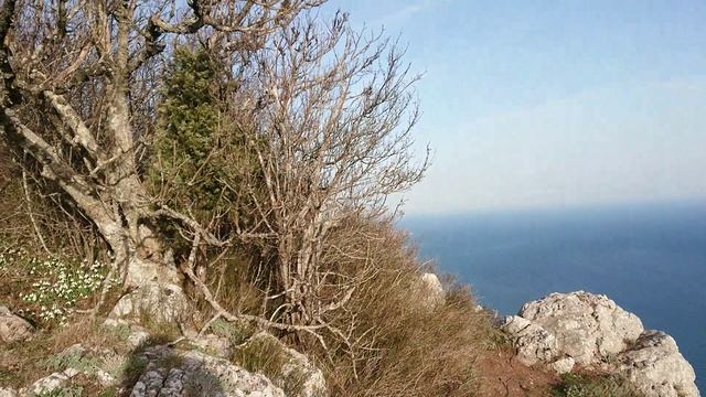 08.04.2020 Шкатулка.mp4