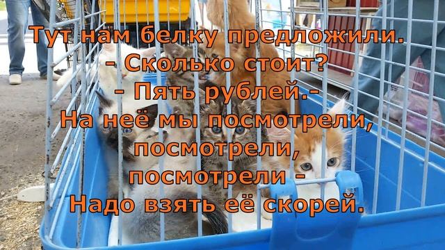 Э  Успенский  Птичий рынок  #поэты20века #стихиоживотных  #стихиодетях