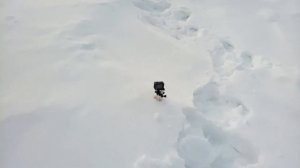 20 калибр  дробью номер 7,5  осыпь и кучность