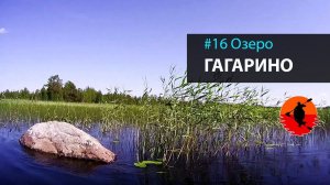 #16 Озеро Гагарино | Лоухи - Энгозеро 2017 | Приключения на байдарке