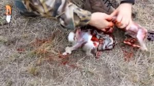 Разделка зайца за 3,5 минуты.