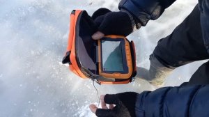 Где искать зимой карася...Подводная съемка зимой на камеру калипсо.Повадки карася подо льдом.