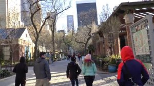 Зоопарк Центрального парка в Нью-Йорке, Манхеттен, США