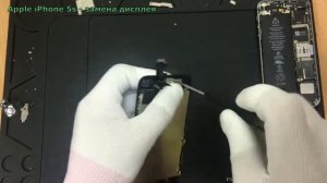 Замена дисплея (экрана) iPhone 5s. Как разобрать айфон 5s.