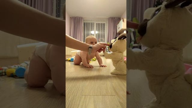 Вика 6 месяцев ползает смотреть онлайн