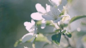 Музыка для Утреннего Пробуждения и Поднятия Настроения: Хорошая Музыка для Души и Бодрости Духа