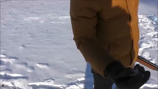 Обзор ружья Бекас-Авто 12/76 смотреть онлайн