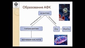 3.3 Ишемия