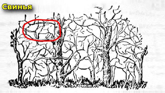 Вот какой вы человек на самом деле! Какое животное первым увидите на картинке. тест смотреть онлайн