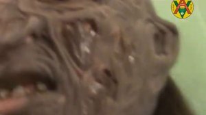 Бокс ринг спорт стройные ловкие девочки