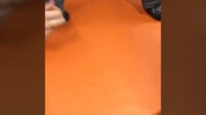 Как правильно одевать собаку в комбинезон! Инструкция!