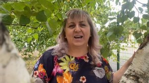 Матушка земля.Песня о Волновахе - ансамбль "Рапсодия".mp4