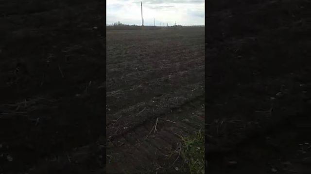 Едем в Набережные Челны, остановились на заправке смотреть онлайн