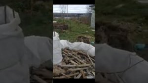 Плетем из ивы высокую грядку. "Замочная скважина".Приучение к труду с детства.