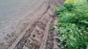 Окучивание картофеля минитрактором Видео