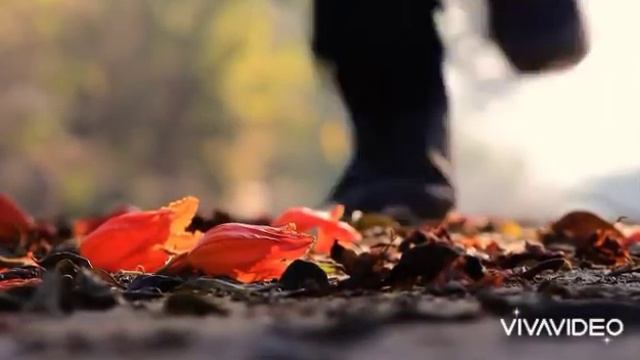 Последняя осень./ Музыка и слова Андрея Шуркова/. смотреть онлайн