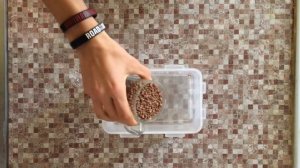 Гречка с овощами, мясом и грибами | Как приготовить?