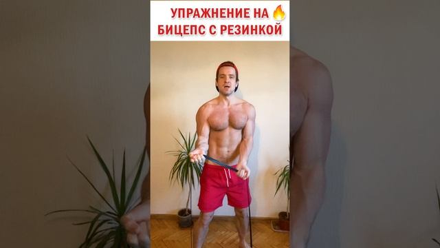 ? Упражнение на бицепс с фитнес резинкой ? Тренировка дома или в зале #знаюиделаю #фитнес #зож