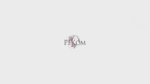 РеКом.Презентация компании РК_ДР