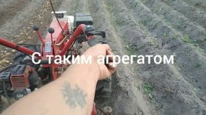 Мотоблок Беларусь+копалка с бензокосой ,,урожай 2021"