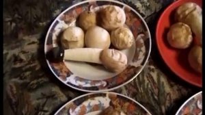 Как приготовить настойку из гриба Веселка.
