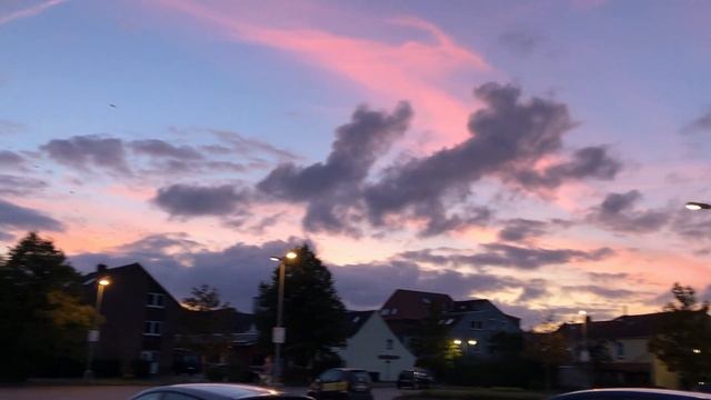 ? Analoge Fotografie: Die beste Kamera für Einsteiger - Canon AE-1, Minolta X700 oder Olympus OM-2 смотреть онлайн