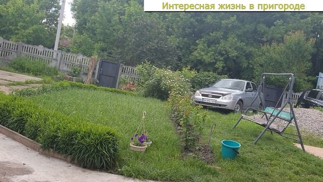 На кухне у Коли Оли Шаповаловых , Прогулка с собаками , Жара, Влог