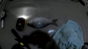 Зимняя рыбалка на Цимле 2019 Новоромашкин часть 2(Отчет о рыбалке)