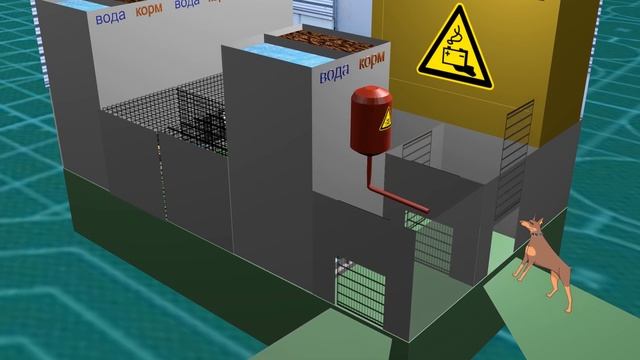 Кормление собак смотреть онлайн