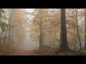 Ирина Шевчук Дыхание осени. Монтаж Элина Шевчук (Кавалерово)