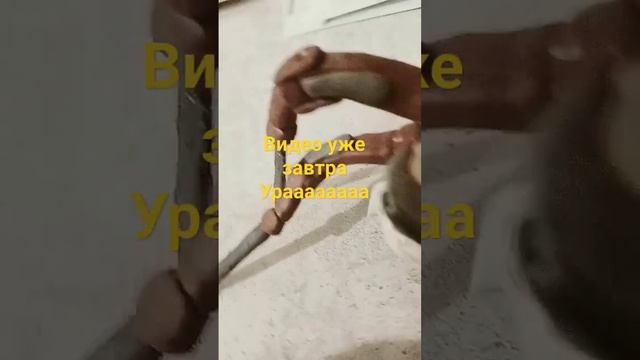 Завтра суббота и завтра новое видео про скибиди катану.Ждите будет очень круто