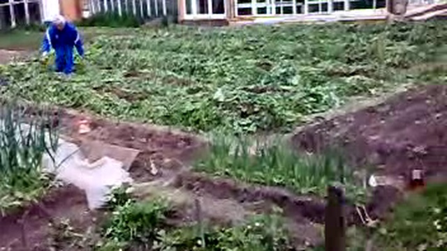 Природное земледелие.  Трава