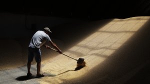 Главы МИД Евросоюза обсудили ситуацию с зерновой сделкой