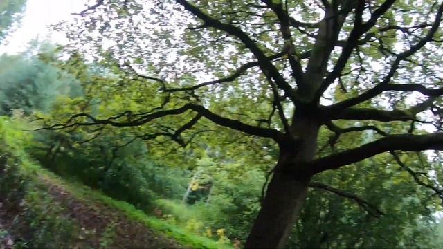 Щенок хаски напал на белку смотреть онлайн