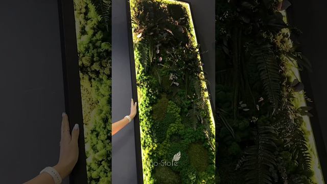 Мох можно использовать его для создания интересных и красивых декоративных элементов🌿