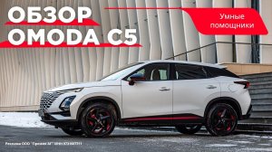 Умные системы автомобиля OMODA C5