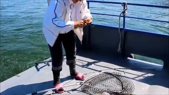 Женщины тоже рыбачат на . . . Байкале. [ Рыбалка на Байкале. ]