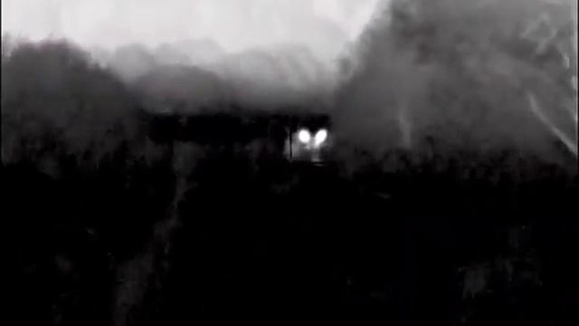 Охота на лося на реву с тепловизором.