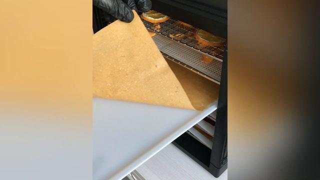 Пастила из тыквы и апельсина. Пастила из чёрной смородины и темного крыжовника. Результат сушки. смотреть онлайн