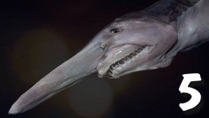 ТОП 10 САМЫХ СТРАШНЫХ ЖИВОТНЫХ