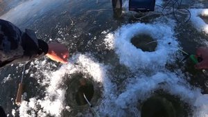 КРУПНЫЙ КАРАСЬ СЛОЯМИ В ЯМЕ... Забросил мормышку!!!! Зимняя рыбалка на карася