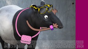 Наксимин и Оксифрин Solopharm/Солофарм Беларусь.