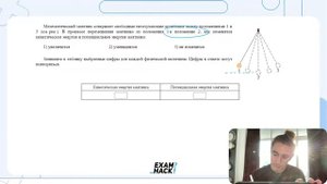 Математический маятник совершает свободные незатухающие колебания между положениями 1 и 3 - №26430