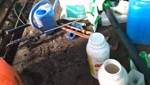 ОКСИД КАЛИЯ И АГРОСТИМ /ДЛЯ ЧЕГО Я ИХ МЕШАЮ ВМЕСТЕ /КРАСИМ ТОМАТ