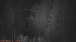 Однажды в путешествии. 7 часть. Что или кто это 13.10.2023