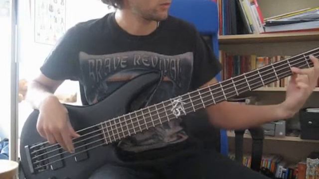 Muse - City of delusion - Cover basse смотреть онлайн