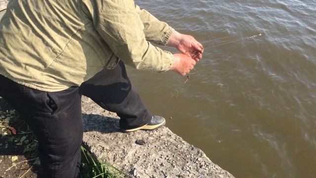 Камень-на-Оби, май 2021 смотреть онлайн