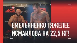 Емельяненко оказался тяжелее Исмаилова на 22,5 кг!