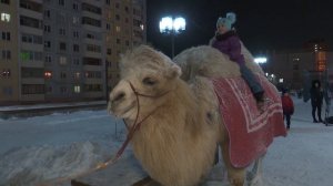 Чудеса начинаются! В День рождения Братска на главной